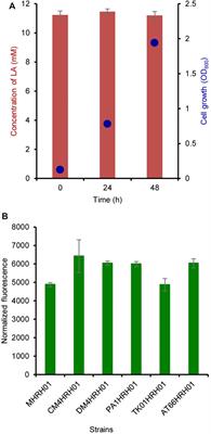 Levulinic Acid-Inducible and Tunable Gene Expression System for Methylorubrum extorquens